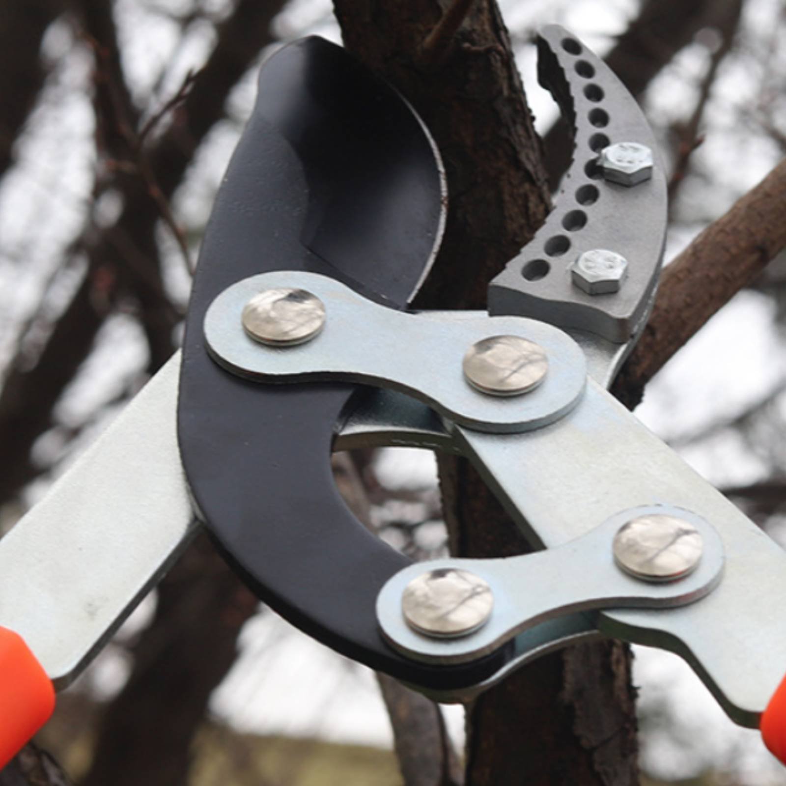 Gardening Tools Sharp - Forbici Telescopiche per Potatura con Lama