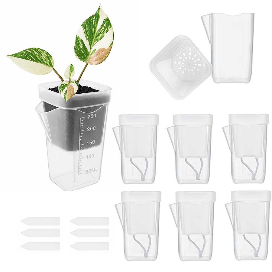 Gardening Tools For Seniors - 12/24 Pezzi Vaso Autoirrigante per Piante