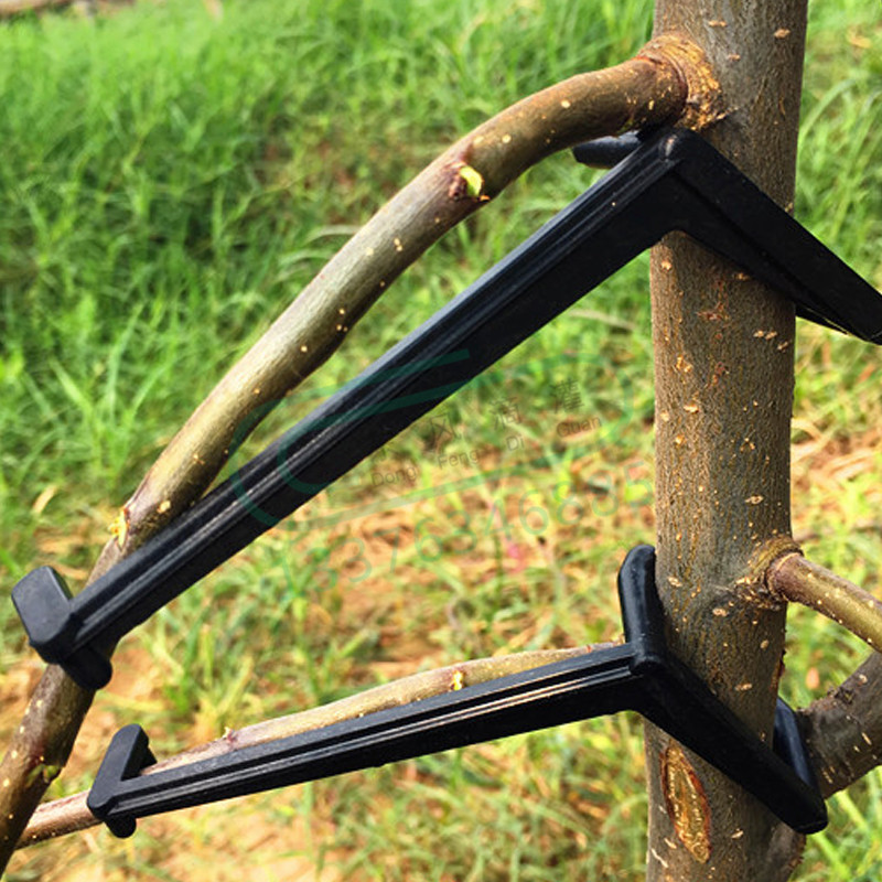 Root Watering Spike - 10-30 pezzi clip per alberi da