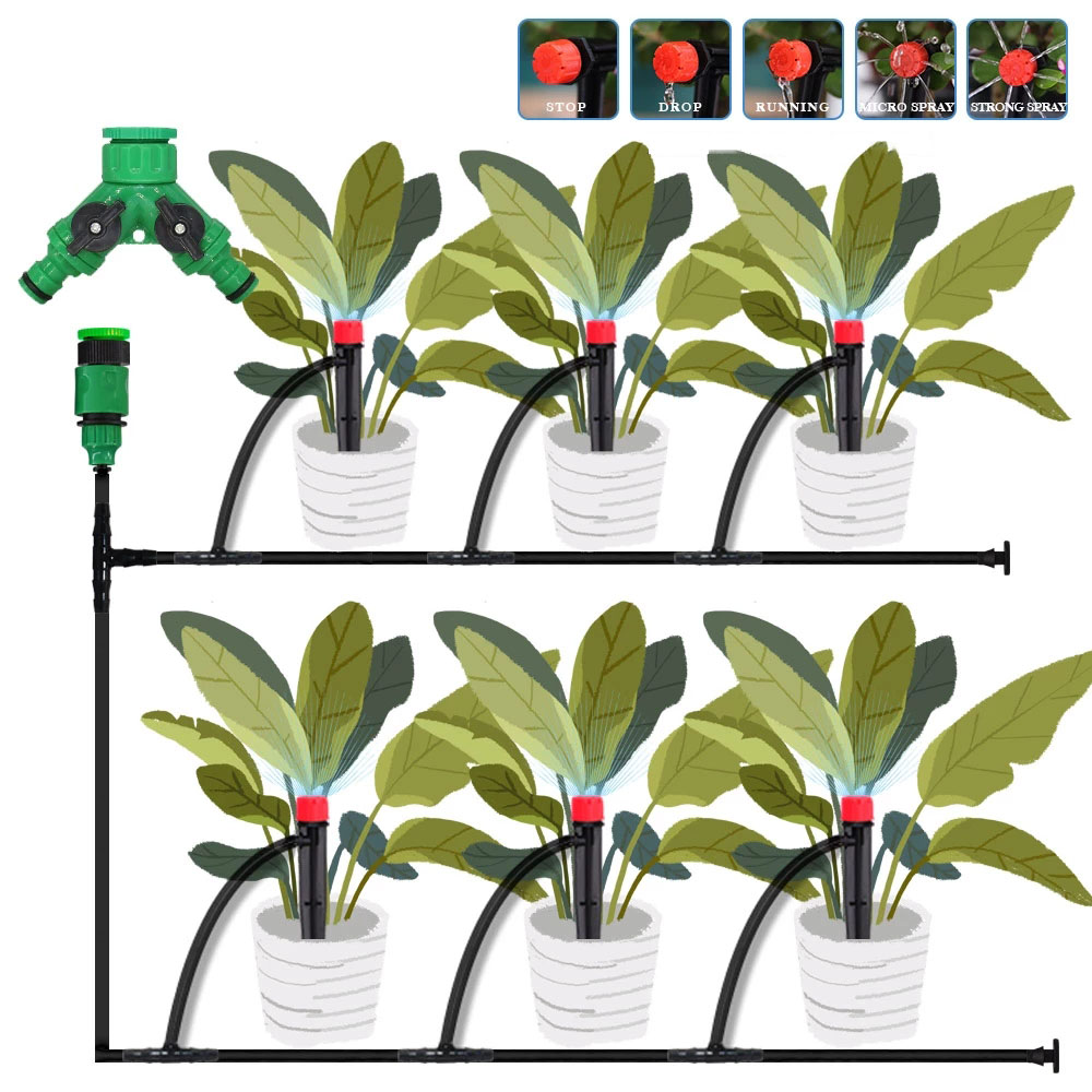 10pcs irrigatori a punta da gi - Root Watering Spike recensione e prezzo