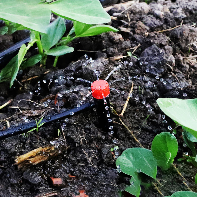 10pcs irrigatori a punta da gi - Root Watering Spike recensione e prezzo