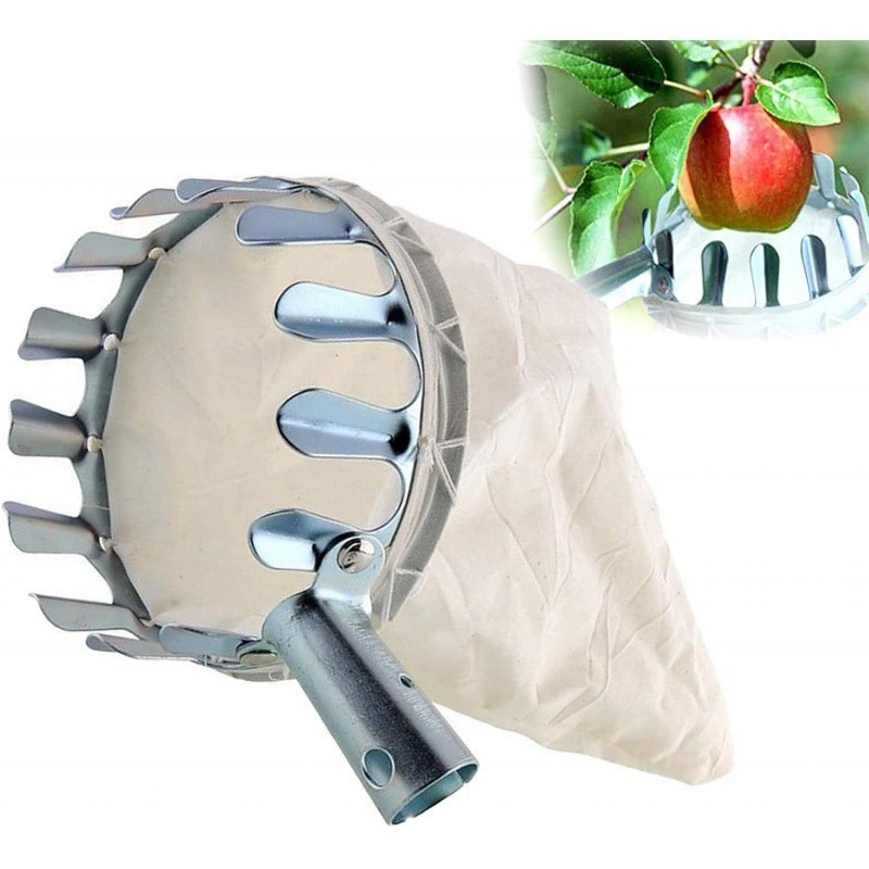 Testina di raccolta frutta in  - Gardening Tools Basket recensione e prezzo