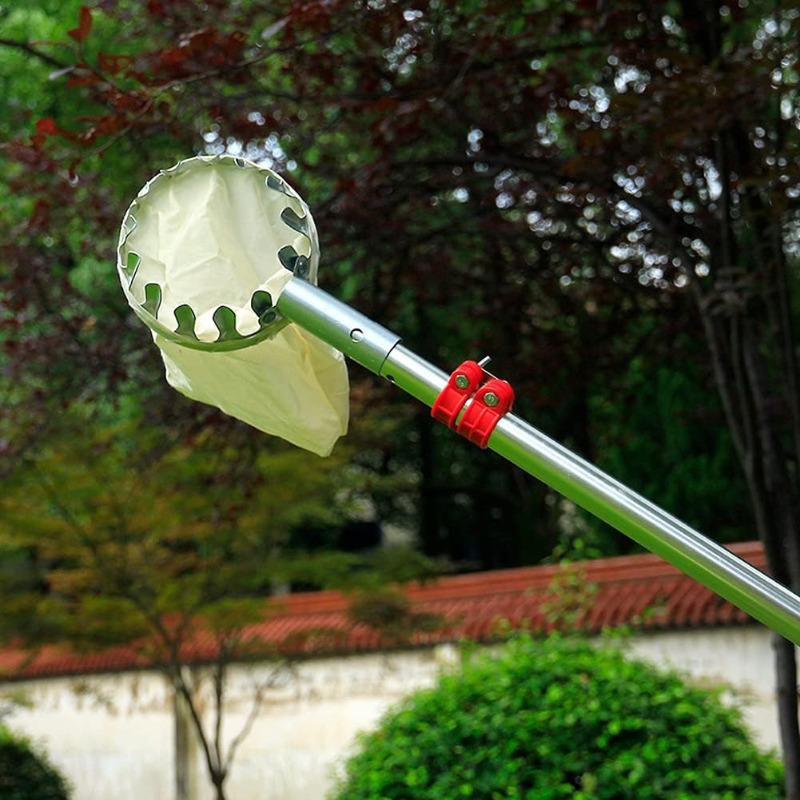 Testina di raccolta frutta in  - Gardening Tools Basket recensione e prezzo