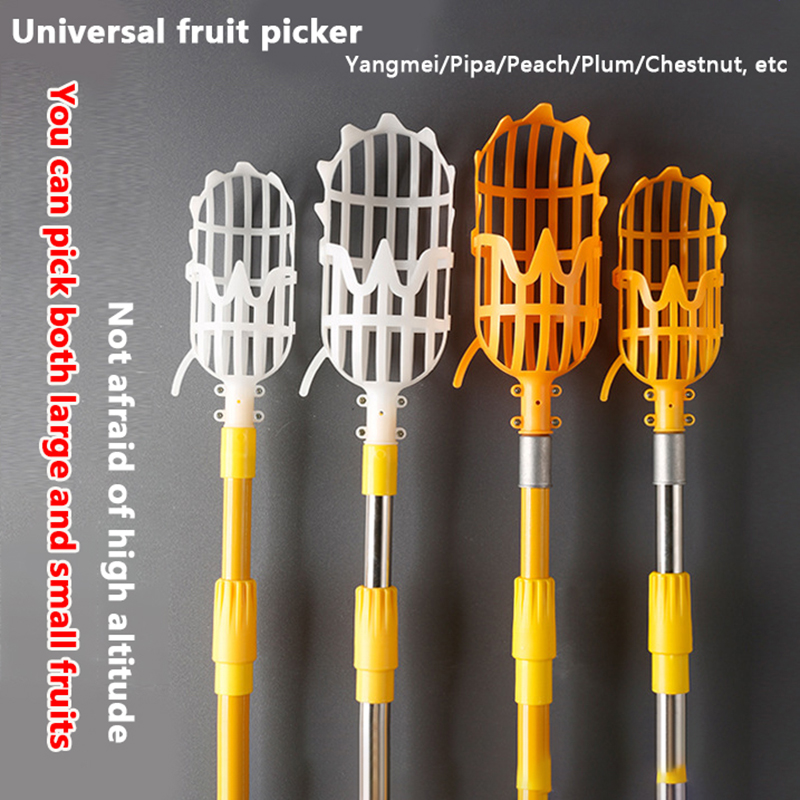 Picking Loquat Picking Bayberr - Gardening Tools Basket recensione e prezzo