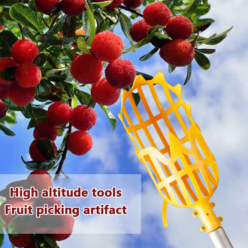 Picking Loquat Picking Bayberr - Gardening Tools Basket recensione e prezzo
