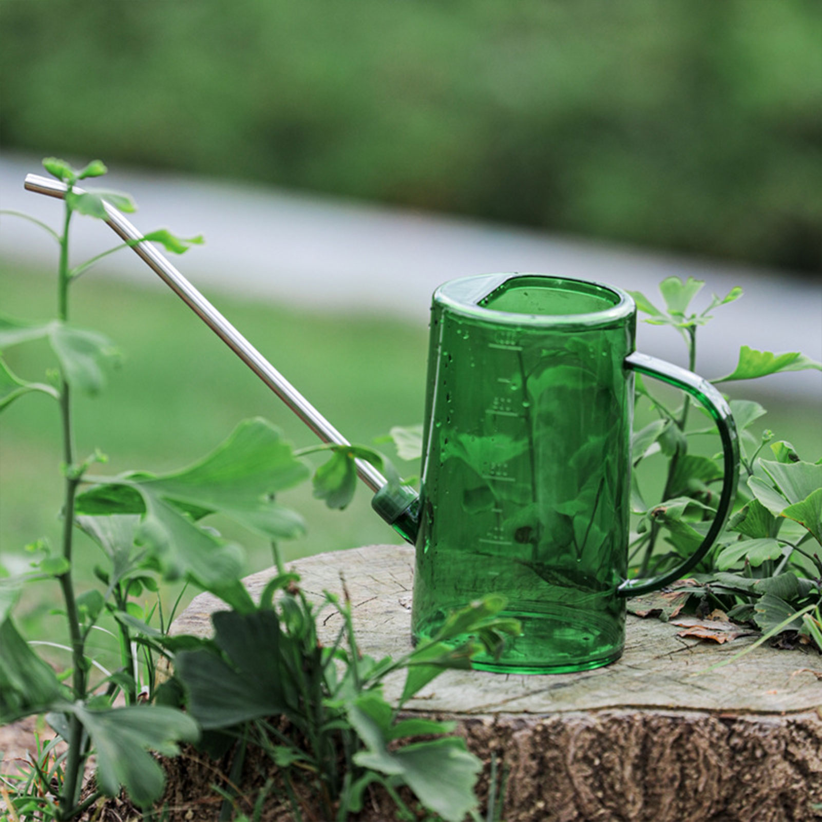 Annaffiatoio per Piante da Int - Gardening Tools For Seniors recensione e prezzo