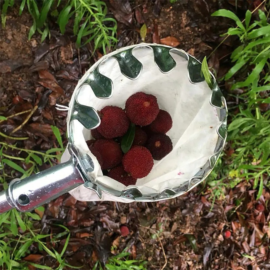 Robusto Cesto Raccoglitore di  - Gardening Tools Basket recensione e prezzo