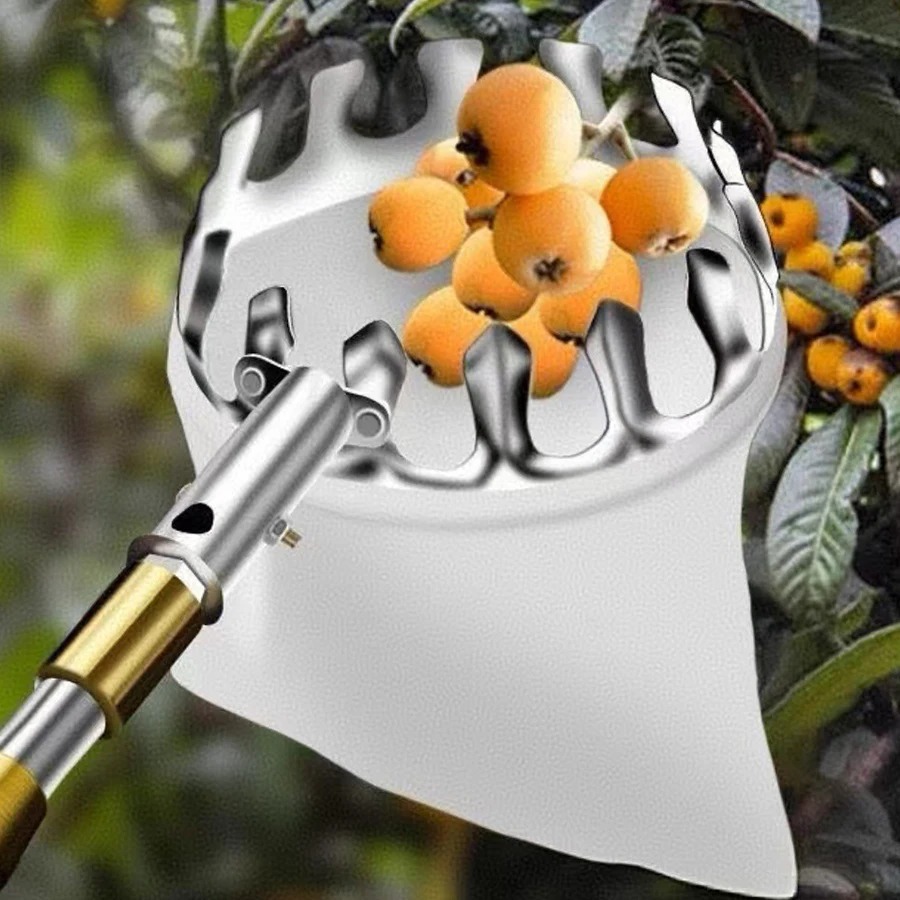 Robusto Cesto Raccoglitore di  - Gardening Tools Basket recensione e prezzo