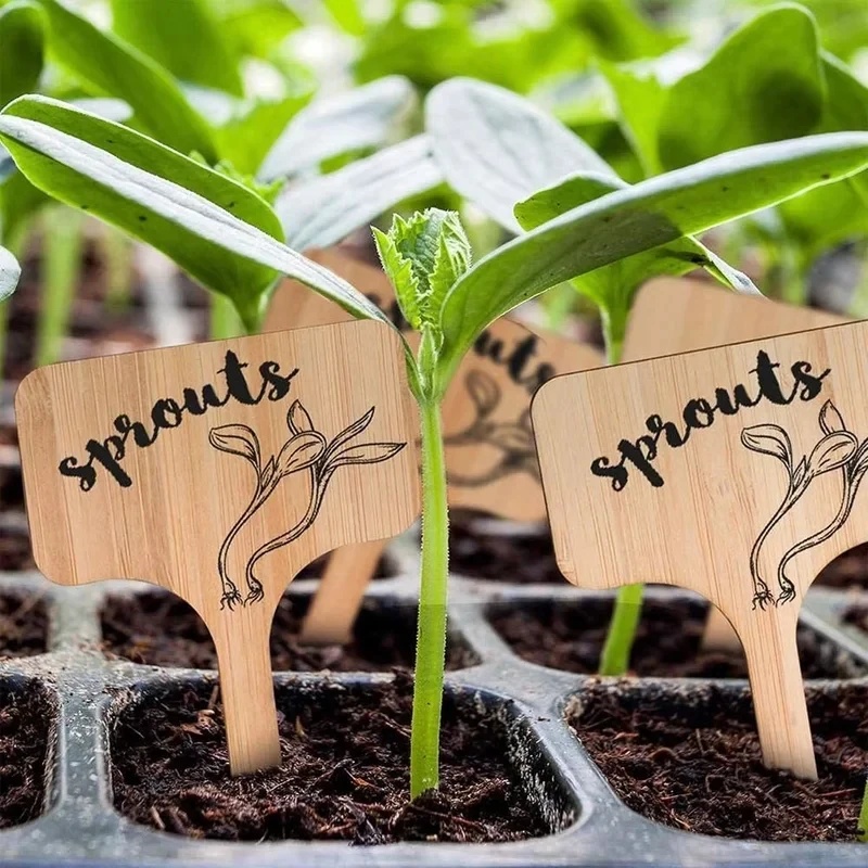 10-60 pezzi di etichette per p - Gardening Tools Labeled recensione e prezzo