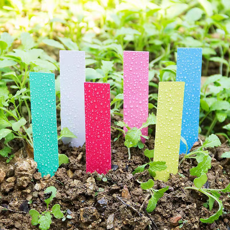 100 pezzi Etichette per piante - Gardening Tools Labeled recensione e prezzo