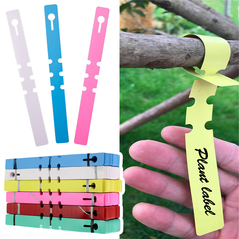 100 pezzi di etichette imperme - Gardening Tools Labeled recensione e prezzo