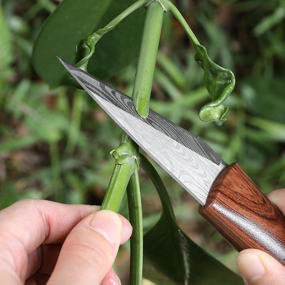 Coltello da Innesto Affilato c - Gardening Tools Sharp recensione e prezzo