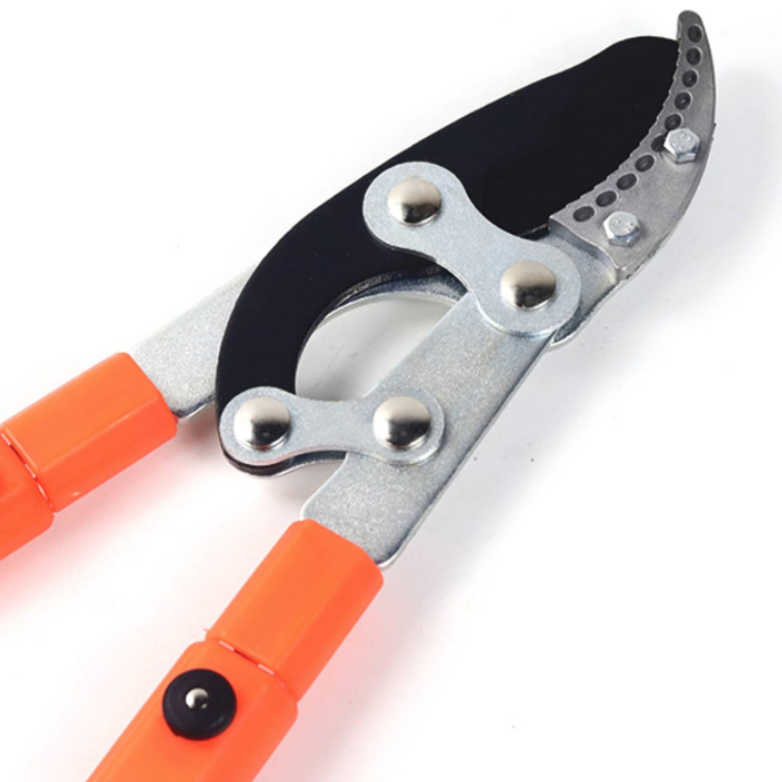 Forbici Telescopiche per Potat - Gardening Tools Sharp recensione e prezzo