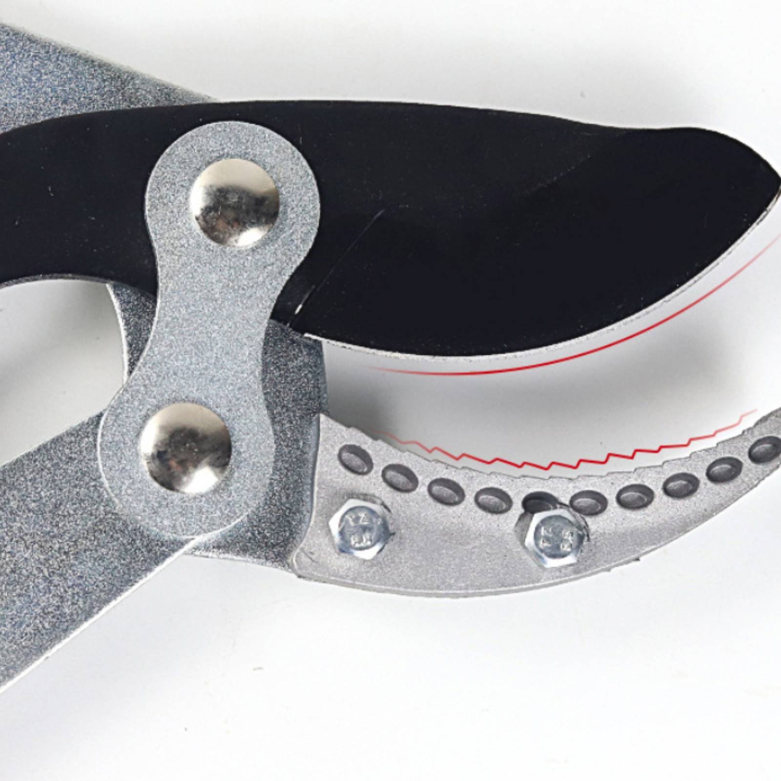 Forbici Telescopiche per Potat - Gardening Tools Sharp recensione e prezzo
