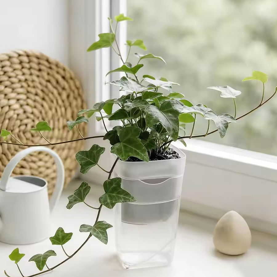 12/24 Pezzi Vaso Autoirrigante - Gardening Tools For Seniors recensione e prezzo