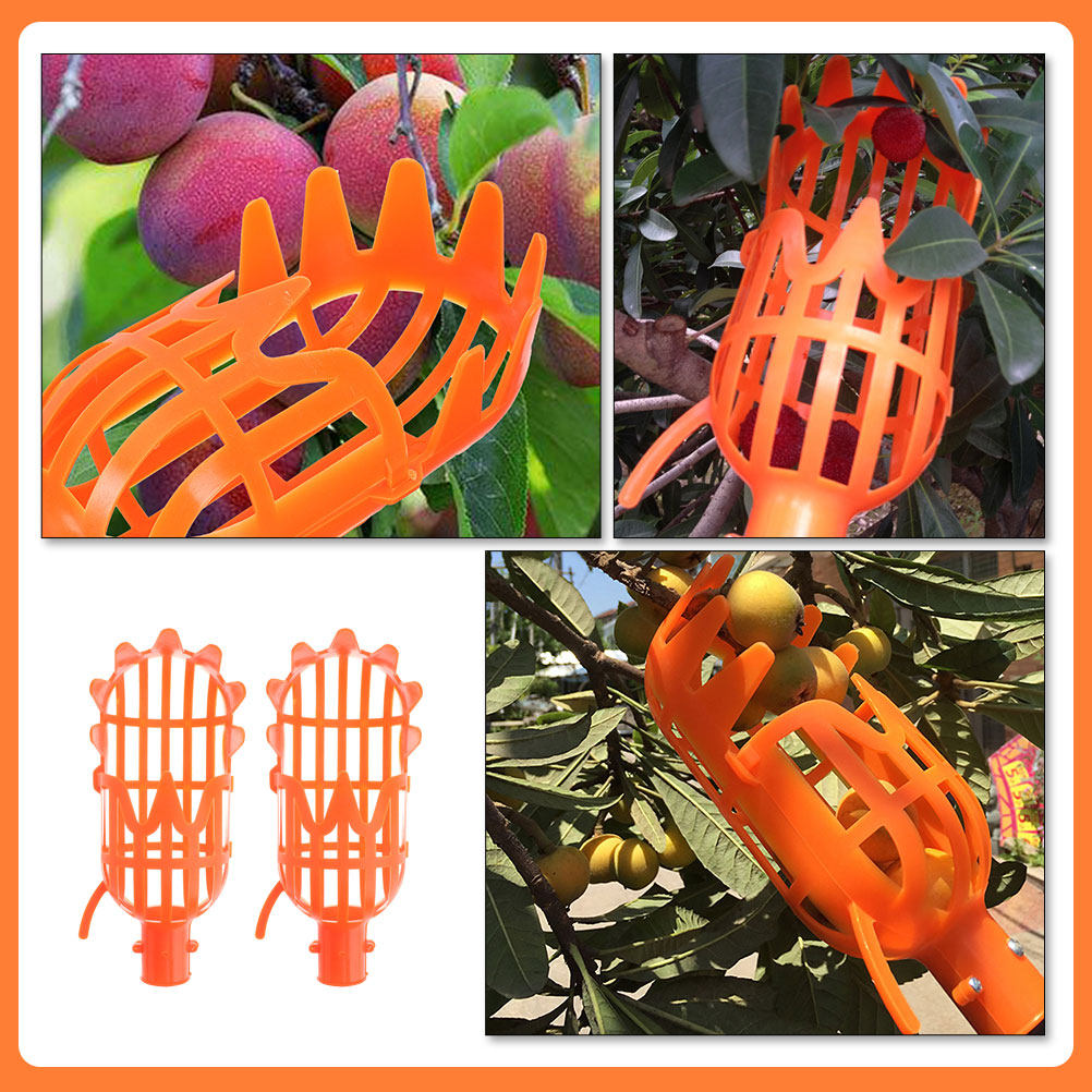 2 cesti in plastica per raccog - Gardening Tools Basket recensione e prezzo