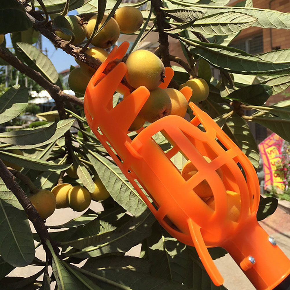 2 cesti in plastica per raccog - Gardening Tools Basket recensione e prezzo