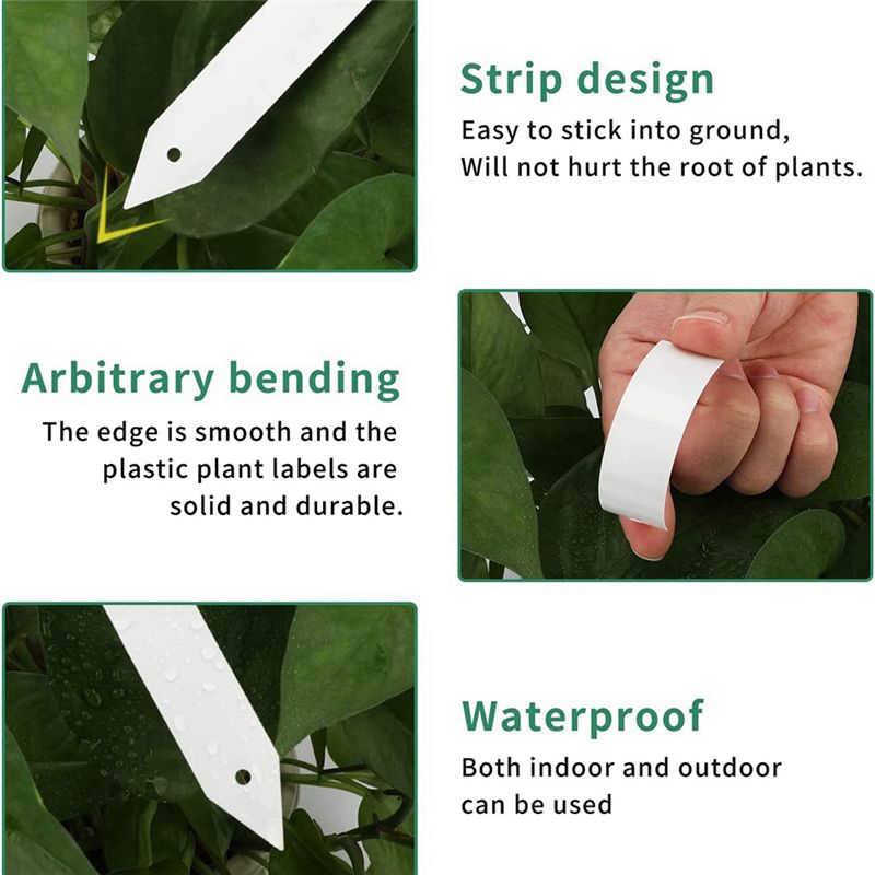 Etichette da Giardino in Plast - Gardening Tools Labeled recensione e prezzo