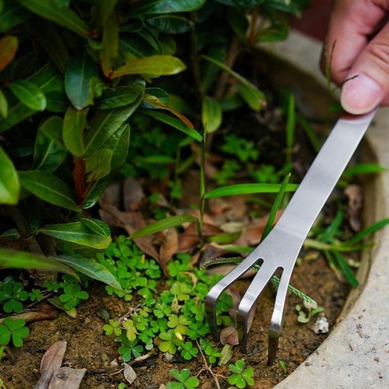 2025 Nuovi rastrelli per bonsa - Gardening Tools Description recensione e prezzo