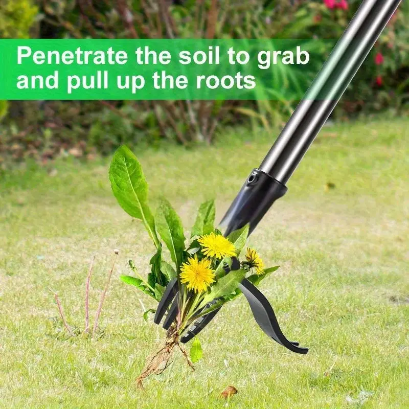 Estrattore di erbacce a 4 poli - Gardening Tools On Sale recensione e prezzo